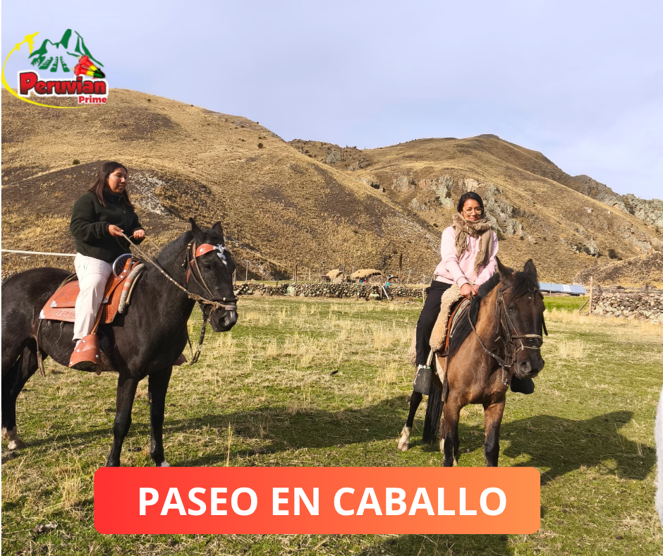 Imagen 4